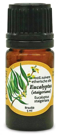eterisk olja Eucalyptus Staigeriana 5 ml vegan