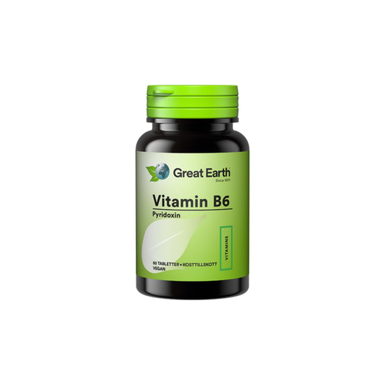 Vitamin B6 23mg 60t