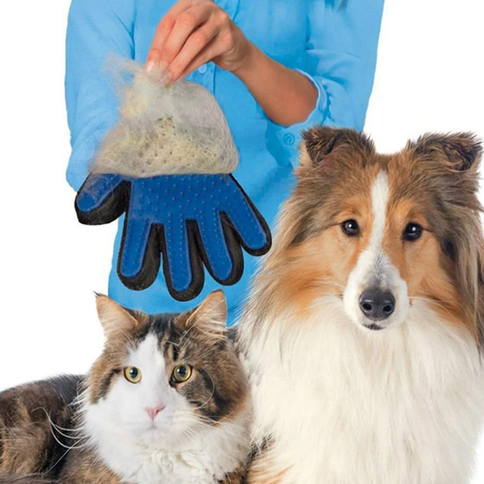 Borsthandske för Hund Katt Husdjur Djur Päls Borste