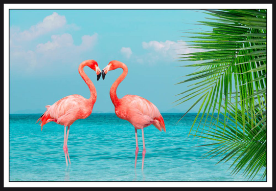 retro collage photo of flamingos Poster/Black/White: 70x100 995 Tavla med ram (vit)