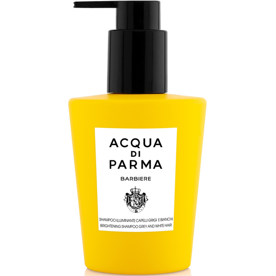 Acqua Di Parma Barbiere Brightening Shampoo For White And Grey Hair 20