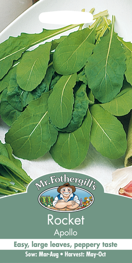 Ruccola 'Apollo'