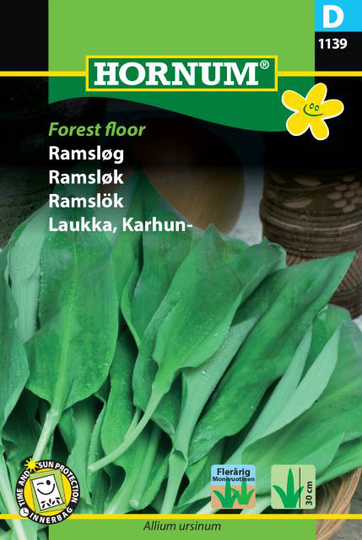 Ramslök 'Forest floor', frö