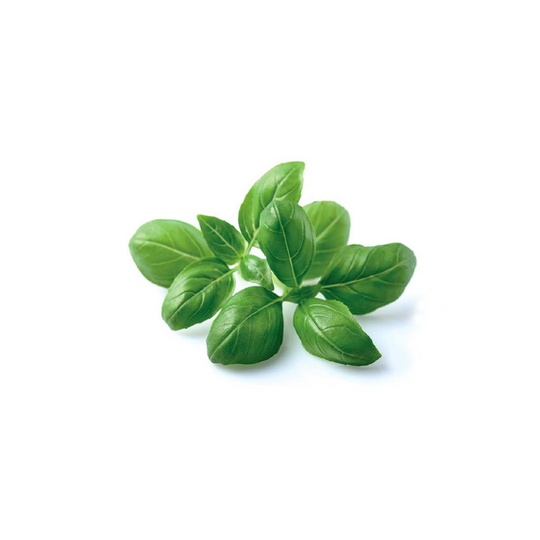 Click and Grow Smart Garden Refill 3-pack - Romansallad