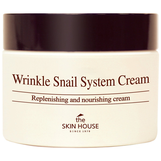 Wrinkle Snail System Cream, 100 ml The Skin House Dagkräm