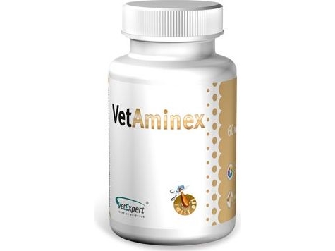 VETEXPERT Vitamin-mineral pre1 partion Vetaminex 60 caps.