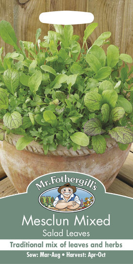 Sallatsmix 'Mesclun'