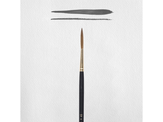 Rembrandt Oil & Acrylic Brush Series 310 No. 12