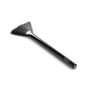 Fan Brush