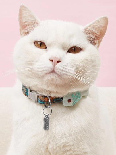 Kattpälsborste, katt kliare, borste till katt, fäst enkelt med skruv eller medföljande klister.