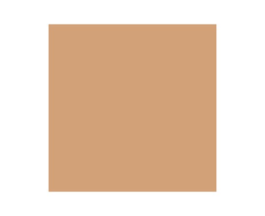 Brush Marker Cinnamon O427