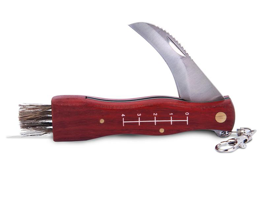 Svampkniv med borste 210mm Homewood