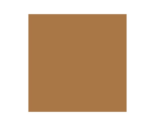 Brush Marker Cocoa O535