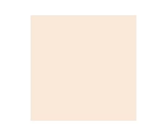 Brush Marker Almond O819