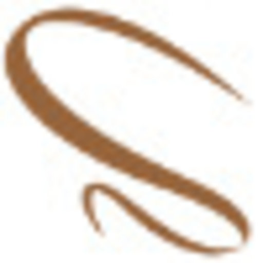 Master Shape Brow