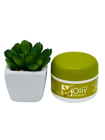 Presentpåse - Oliv nattkräm, konstväxt
