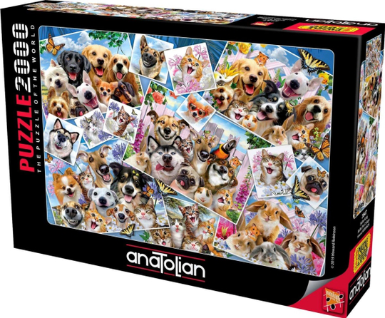 Anatolian Puzzle 2000 Collage selfie