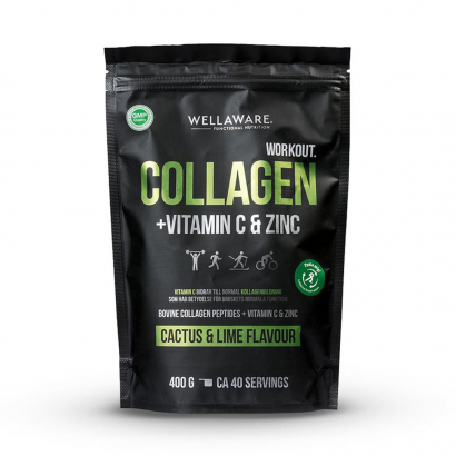 WellAware Workout Collagen 400 g Cactus Lime