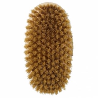Body Brush Medium 2