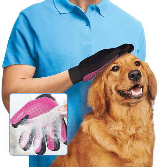 Hundborste - Borste för Päls - Hund & Katt - Borsthandske Höger