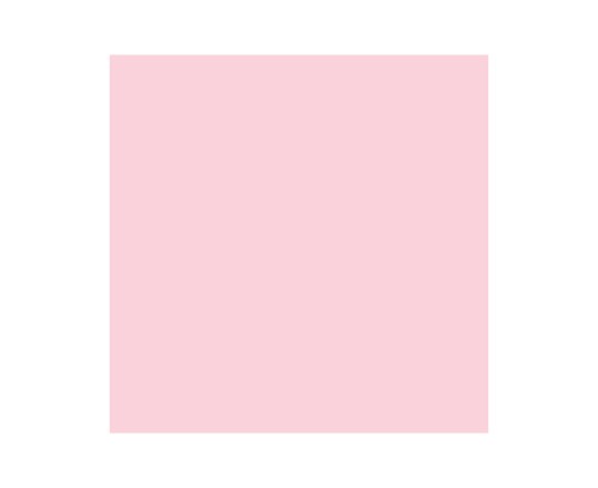 Brush Marker Pale Pink R519