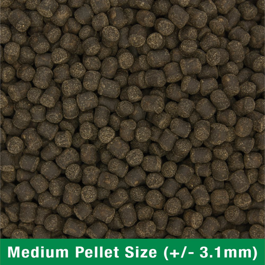 Ocean Nutrition Formula Two pellets M 400g