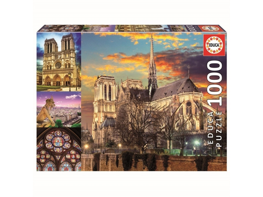 EDUCA 1000 EL.Notre Dame collage