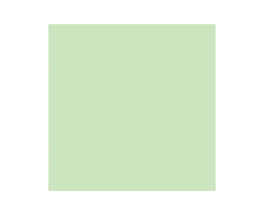 Brush Marker Meadow Green G339