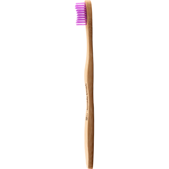 Humble Brush Adult Medium Purple
