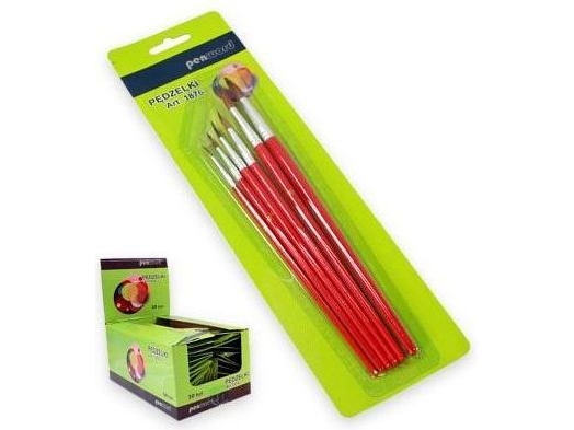 Polsirhurt Brushes 1876 A "6