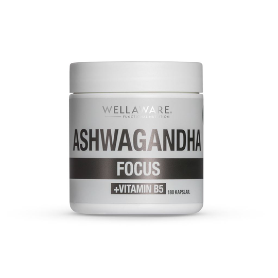 WellAware Health Ashwaganda + Vitamin B5 - 90 st