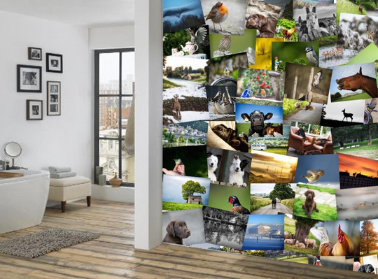 Fototapet 64 bitar Creative Collage NATURE
