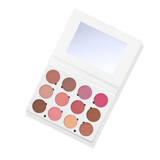 Professional Blush Palette