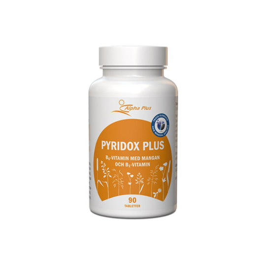 PyridoxPlus 90t