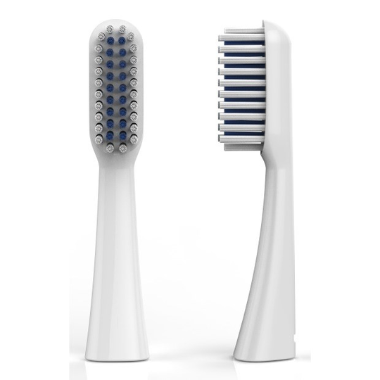 Dentle zip Refill