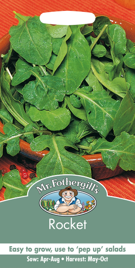 Ruccola