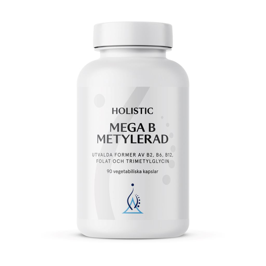 Holistic Mega B Metylerad 90 kapslar