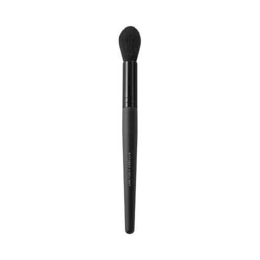 Diffused Highlighter Brush
