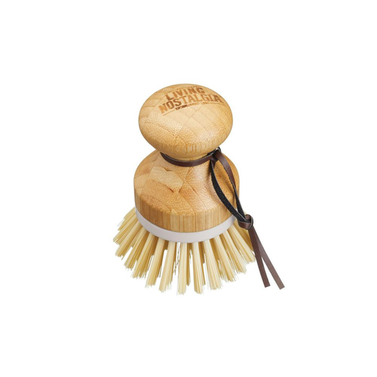 Disk brush Palm Scrub