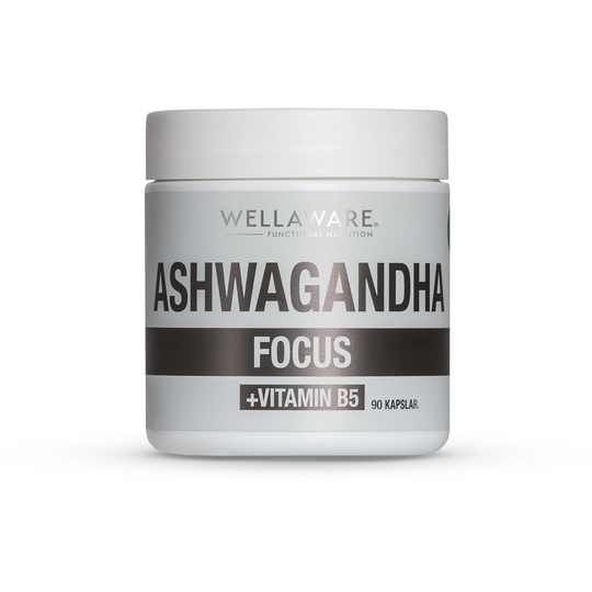 WellAware Ashwaganda + Vitamin B5 Kapslar 90 st