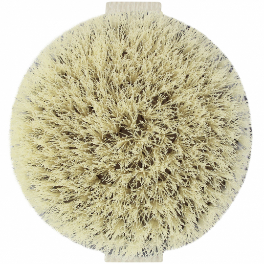 EcoTools Dry Body Brush