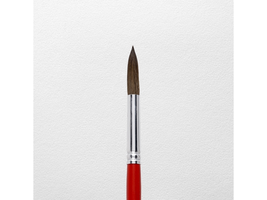 Talens Watercolour Brush Series 150 No. 12