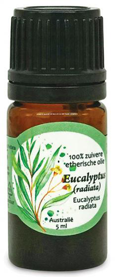eterisk olja Eucalyptus Radiata 5 ml vegan
