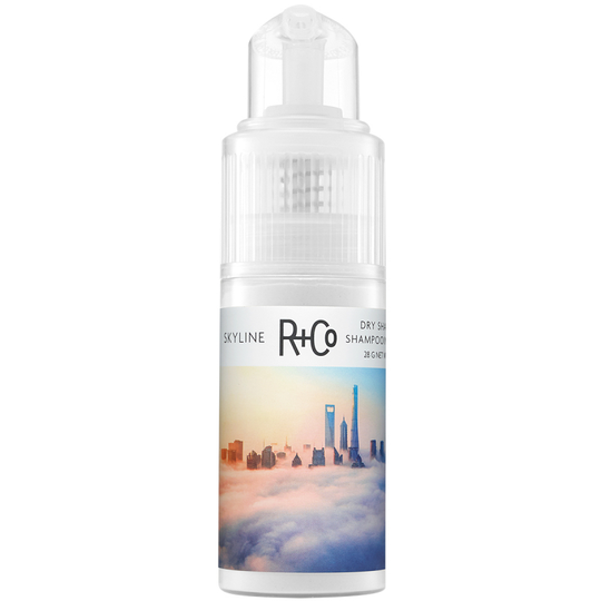 R+Co Skyline Dry Shampoo Powder (28g)