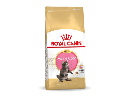 Royal Canin Maine Coon Kitten, Kitten, 10 kg, Maine Coon, Vitamin A, Vitamin B1, Vitamin B12, Vitamin B2, Vitamin B3, Vitamin B5, Vitamin B6, Vitamin