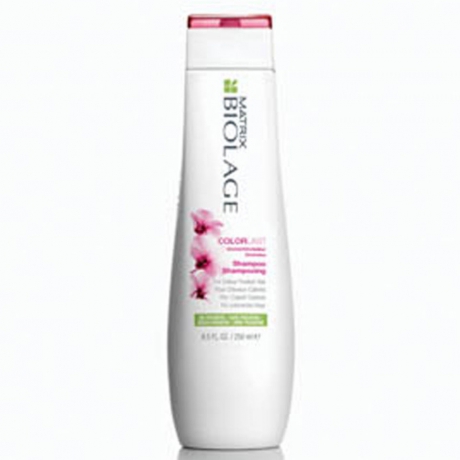 Matrix Biolage ColorLast Shampoo 250ml