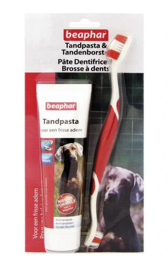 tandvårdsset pet röd/vit 2-delad
